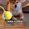Juguete para Perro Pelota Automática para Pasear Perros Mascota Cachorro Auto-Entretenimiento Resistente al Aburrimiento Resistente a Mordidas Eléctrico Inteligente Artefacto de Pelota para Perro Saltarín