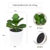 Más de 100 Tipos de Combinaciones de Plantas Suculentas Mini de Plástico Simuladas en Maceta, Mini Bonsáis Suculentos Más Vendidos Transfronterizos, Decoración para el Hogar, Adornos Creativos
