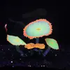 Decoraciones para Acuario Tanque de Peces Plantas Acuáticas Silicona Simulada Efecto Fluorescente - Coral Alfombra Paisajismo Paisajismo Fluorescente