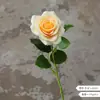 Flores Artificiales de Color Primavera con un Toque de Lujo, Textura Estilo Crema, Rosas Hidratantes, Decoraciones Sencillas para Sala de Estar, Rosas con Aspecto Húmedo, Lujo Ligero