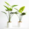 Plantas Artificiais Estilo Nórdico em Estoque para Atacado, Planta Artificial de Taro Torto, Plantas Verdes Falsas para Paisagismo, Plantas em Vasos para Decoração de Piso Interno para Sala de Estar