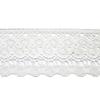 Ribete de Encaje de Poliéster-Algodón, Calado Maquinaria Textil del Hogar Tejido a Máquina Ropa para Mujer Disfraces de Rendimiento, Encaje para Accesorios de Vestidos de Novia