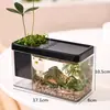 Aquário Pequeno para Sala de Estar Aquário Transparente com Tampa Aquário Ecológico de Mesa Aquário para Escritório Tanque de Tartaruga