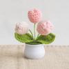 Planta Tulipán en Maceta Tejida a Crochet Flor de Lana Sintética Terminada Decoración Día del Maestro Planta en Maceta Flor Tejida Planta en Maceta de Simulación