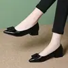 Zapatos de tacón grueso bajos populares para mujer, colección de otoño 2026, punta fina, hebilla cuadrada, piel suave, suela blanda, tacón bajo, zapatos versátiles y cómodos para madres