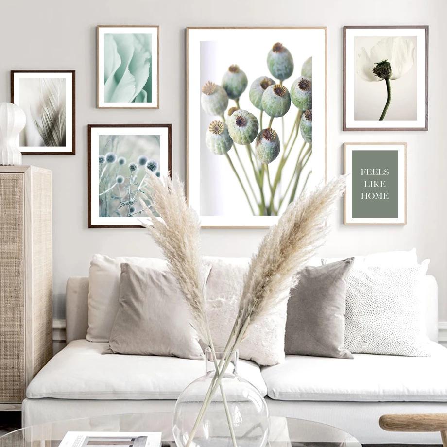Bloom-Flower-Poppies-Misty-Pal