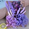 Día de la Madre Flor Eterna A5 Paquete de Material de Tablero de Flores en Relieve Marco de Fotos DIY Abanico Sombrero de Paja Material de Flores Flores Secas