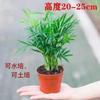 Sanwei Girassol em Vasos Florais para Sala de Estar Interna Grandes Plantas Verdes Decoração para Casa Plantas Ornamentos de Chão Paisagismo Cauda de Fênix Girassol