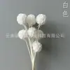 Molino de Viento Fruta de Flor Preservada, Materiales Florales Decorativos Fruta de Piña de Flor Preservada, Adornos para Arreglos Florales, Venta Directa de Fábrica, Superventas Transfronterizos