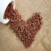 Suculentas auto-combinadas Solo para plantio Solo nutritivo Solo granular para pavimentação Material de plantio de turfa Areia de rio respirável Solo de pedra de cultivo
