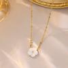 Collar de Acero de Titanio Nuevo de Lujo Ligero para Mujer Explosivo Nicho Japonés y Coreano Simple Geométrico Elegante Versátil Color Libre Cadena para Clavícula