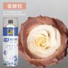 Spray de flores color floral azul hielo ramo flor seca tinte floristería especial color para pintar uno mismo material spray BD