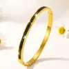Pulsera de Acero Inoxidable para Mujeres y Niñas No Caídas Pulsera Gomasa de Acero de Titanio de Alta Calidad con Diamante Estilo Azul Ins