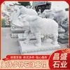Ornamentos de Elefante Esculpido em Pedra Azul para Salões Ancestrais e Entradas de Templos, Elefantes de Pedra Absorventes de Água Estilo Antigo, Fabricante de Esculturas de Bestas Auspiciosas para Arquitetura Antiga e Jardins