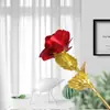 Dia dos Namorados Chinês Rosas de Folha de Ouro Cor Dourada Brilhante Dia das Mães Cravo Flor Eterna Presente de Dia dos Namorados Caixa de Presente