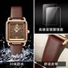 Reloj de cuarzo elegante y resistente al agua con correa de nicho de lujo ligero de marca OPK para mujer, reloj de moda rectangular con esfera pequeña.