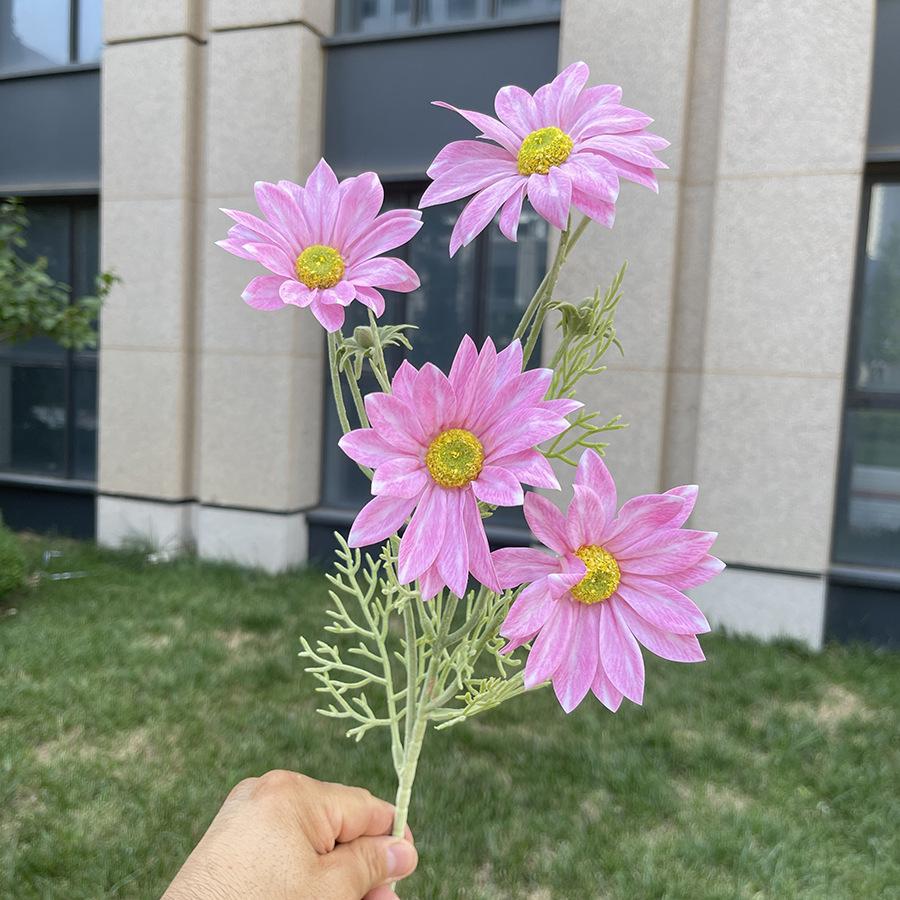 4头手感夏菊-sxekx-7#粉色.JPG