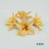 Flor de Lirio Pequeña de 7 cm Flor de Muguete Pequeña Artificial Cabeza de Flor Caja de Flores Paquete de Materiales Hechos a Mano para Bricolaje Decoración de Sombrero de Doctor Souvenir