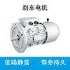 Carcasa de Aluminio Yej2 Motor de Freno Electromagnético Freno Electromagnético Motor Asíncrono Trifásico Motor con Freno Puede Usarse con Diferentes Voltajes