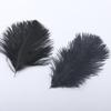 Accesorios de ropa de plumas de avestruz de colores materiales de decoración de bodas accesorios de plumas hechos a mano DIY decoración del hogar