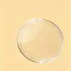 Pastel de Oro Shuibei 50mg Oro Puro 999 Pastel de Oro Fortuna de la Princesa Pastel de Oro Paz y Alegría Juego de Caja de Regalo