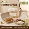 Caixa de Refeição Descartável de Polpa Biodegradável Ecológica Caixa de Almoço Personalizável Caixa para Fast Food Caixa de Almoço com Compartimento com Tampa Caixa para Levar