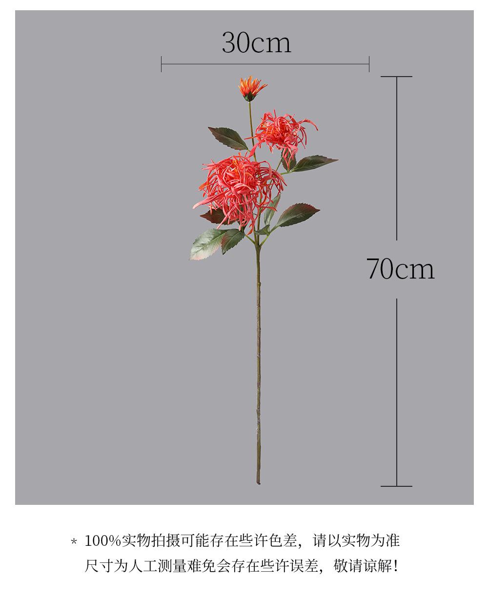 详情_03.png