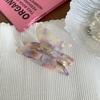 Novo Estilo Francês Elegante Aurora Roxo Marrom Cor Mágica Borboleta Simples Doce Grande Cabelo Tubarão Clipe Hairpin Acessórios de Cabelo para Mulheres