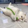 Juguete para perro serpiente autoentretenimiento descompresión resistente a mordeduras juguete para gato papel crujiente serpiente verde palo para provocar perros para gatitos mascotas juguete para morder gato