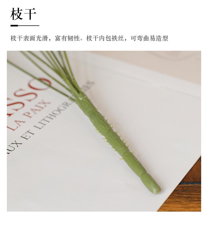 9头把束玫蕾_13