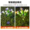 Luces de Flor de Tulipán de 5 Cabezas Solares Transfronterizas, Luces de Suelo Impermeables para Exteriores, Luces para Césped, Luces Decorativas para Jardín y Patio