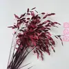 Hierba Xiao Pan Flor Eterna Yunnan Fábrica de Flores Secas Venta al por Mayor Nuevos Clientes Disfrutan de Buenos Regalos Regalo de Navidad Accesorios para Sesiones de Fotos