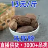 Aristolochia Aristolochia Aristolochia Venta al por Mayor Dropshipping