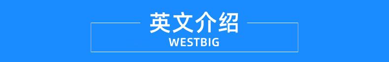 英文介绍