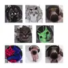 Lindos Broches de Lata com Tema de Pet, Gatos e Cachorros de Desenho Animado, Broches Criativos, Pins de Decoração Personalizados para Roupas