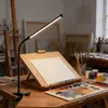 Luminária de mesa com clipe extra longa com luz de espectro total, projetada para estudar e fazer lição de casa, com uma luz de leitura longa e brilhante e um clipe para prender à mesa
