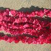 Fio de flores de hortênsia sintéticas Rattan de flores criptografado Fio de flores de orquídea Yang Pendente de parede para casamento Flores por atacado
