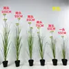 Simulação de unesco de una estrela interior arranjo de flores macias paisagem falso planta verde simulação de casamento falso buquê decoração