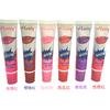 Exclusivo transfronterizo para brillo de labios de color manguera, brillo de labios mate, brillo de labios solo para exportación