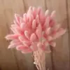 Comércio eletrônico transfronteiriço comércio exterior Amazon cor flor seca rabo de coelho grama atacado diy pequeno buquê vaso buquê