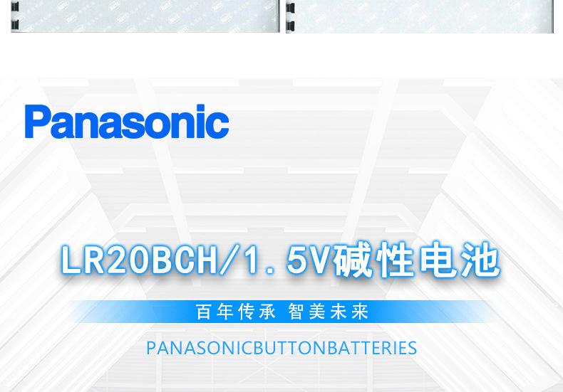 LR20BCH_13.jpg