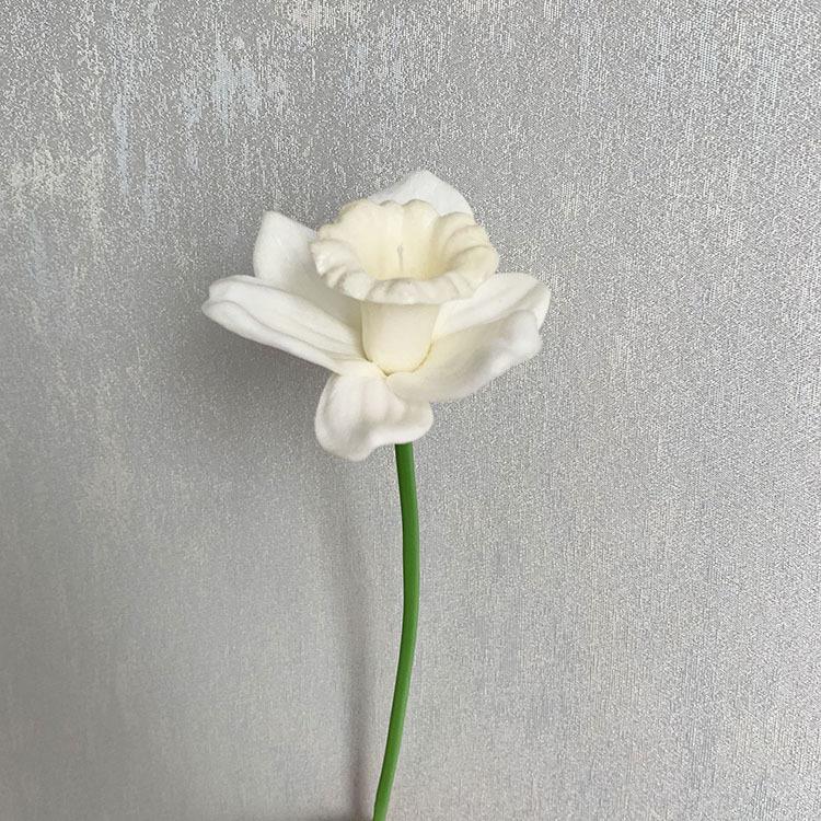 QQ图片20210420121551