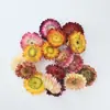 Flores Secas Navideñas, Canela, Limón, Piñas Mezcladas Juntas, Flores Secas Hechas a Mano, Kits de Materiales DIY para Aromaterapia, Accesorios, Venta al por Mayor de Fabricantes