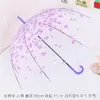 Estilo Fresco e Simples Guarda-chuva de Plástico Transparente Longo em Forma de Arco Apollo para Estudantes, Performances Infantis, Personalização com Logo no Atacado