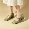 Yuan Litong 2026 Novidades de Outono Sapatos Mary Jane com Salto Grosso Quadrados Retrô Aumentadores de Altura Sapatos para Madrinhas Sapatos Estilo Qipao Francês