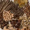 Materiales para manualidades de jardín de infantes cáscaras de fruta seca cáscaras de nuez cáscaras de cacahuete cáscaras de pistacho cáscaras de semillas de girasol piñas bellotas