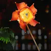 # Lanternas de Moinho de Vento Giram e Acendem, Lanternas Portáteis de Ano Novo 2026 Festival da Primavera, Lanternas Festivas de Palácio, Decorações Penduradas Feitas à Mão
