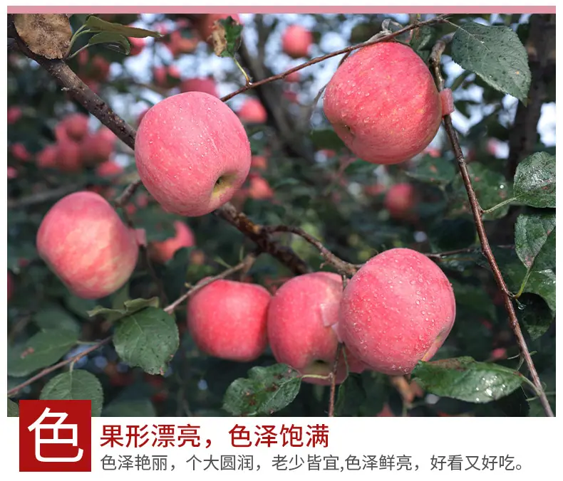 6(1)_08.jpg