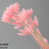 Buquê de Flores Secas de Capim-rabo-de-coelho Transfronteiriço, Capim-rabo-de-coelho Colorido Macaron, Flores Naturais de Alto Padrão, Flores Preservadas