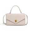 Bolso tejido a mano de Amazon B para primavera y verano, nuevo, para mujer, moderno, de noche, ligero y de alta gama, de lujo, Dionysia.